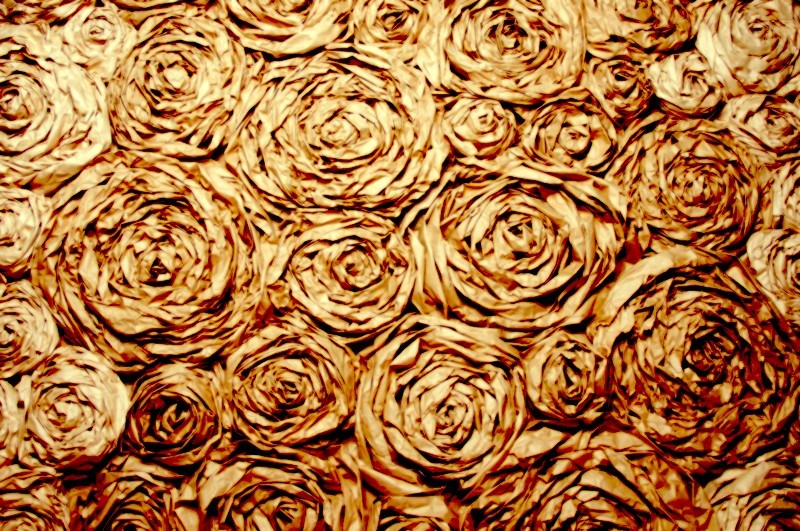 paper-roses