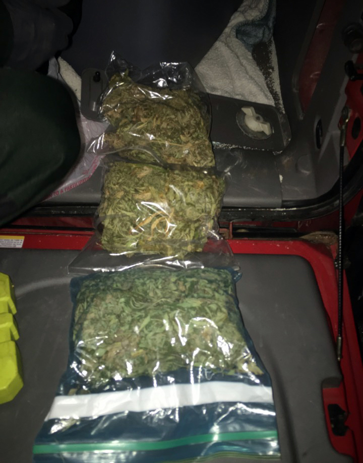 Campers Arrested with a Pound of Marijuana, LSD, and Ecstasy