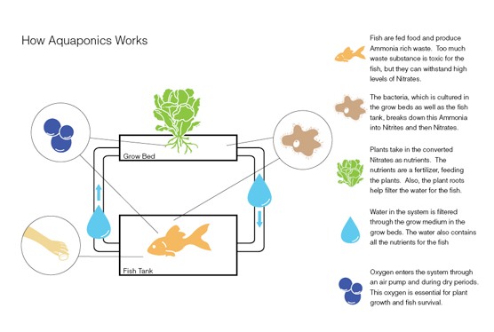 Diy aquaponics without electricity Pellet fed