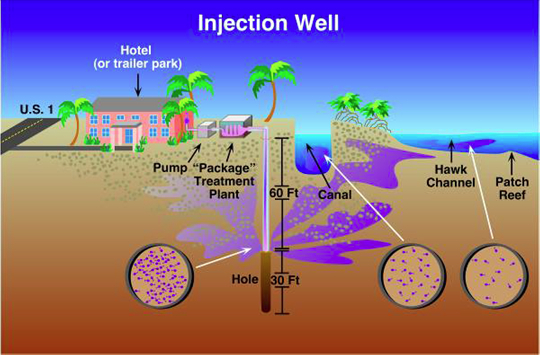 Stop Shallow Sewage Wells in the Florida Keys, March 22nd
