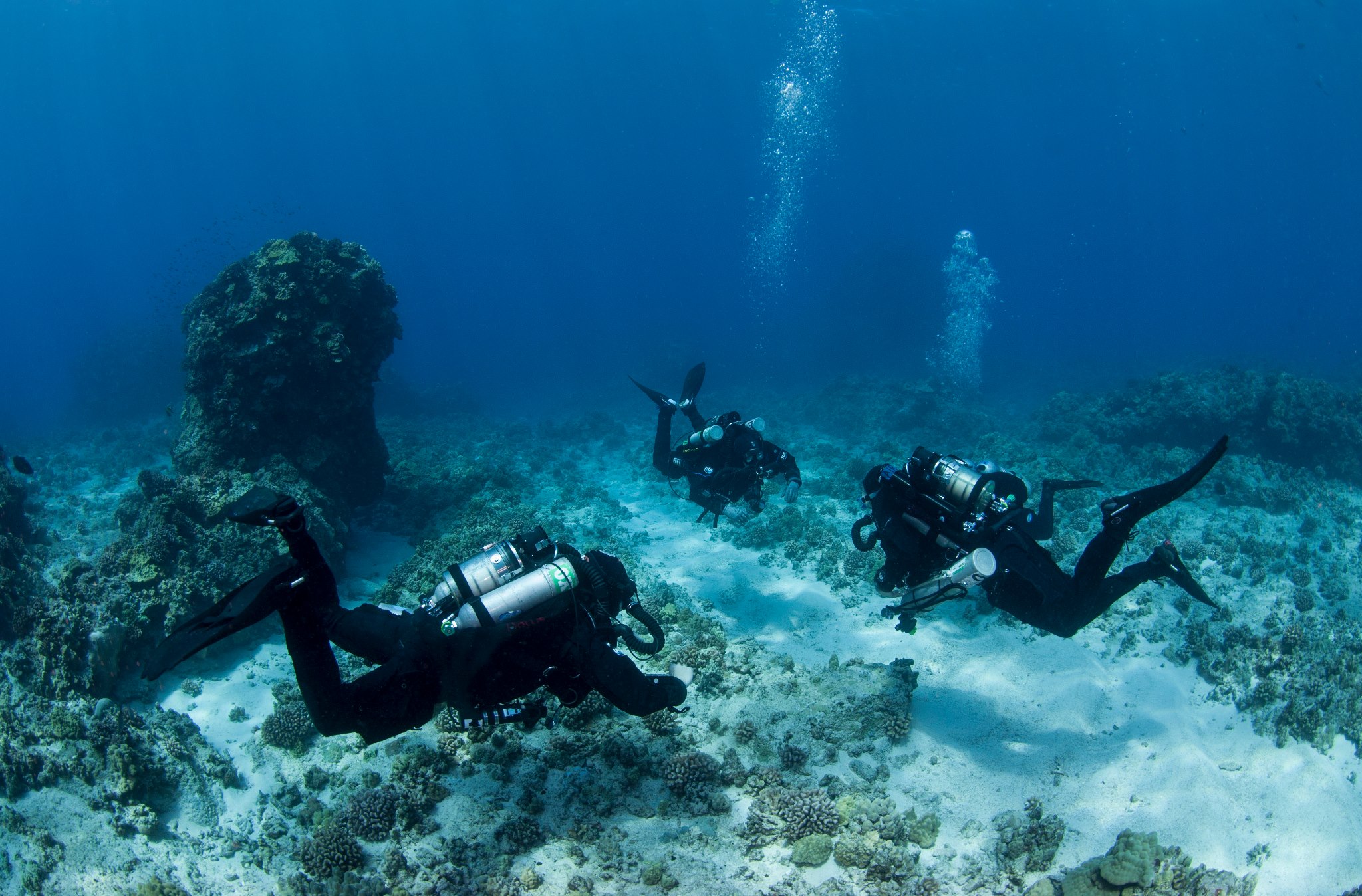 Keys Firm Working with FKCC Acquires National Diving Program Certification