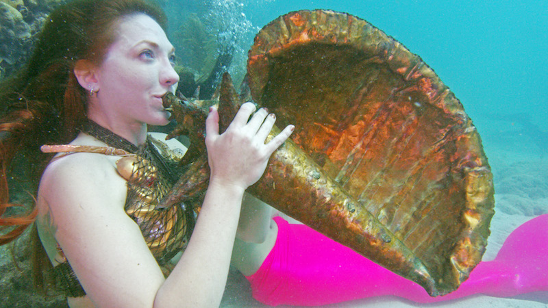 Keys Underwater Music Festival Spotlights Coral Reef Protection