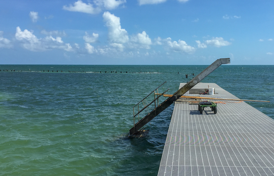 Project Update:  Rehabilitation of the Reynolds Street Pier