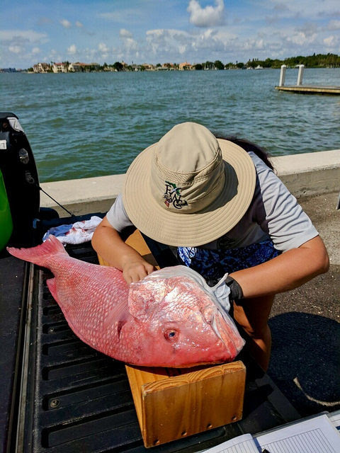 Atlantic Anglers and Captains Encouraged to Assist FWC with Red Snapper Research