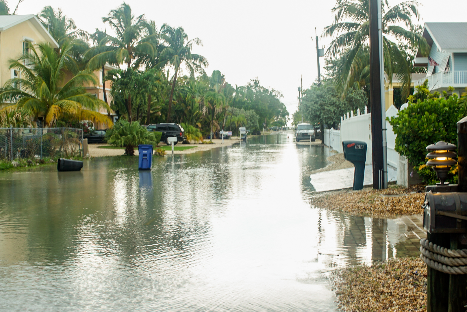 King Tides Causing Nuisance Flooding in Low-Lying Areas of Monroe County