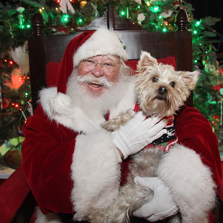 All Animal Clinic Sponsors Pet Pictures with Santa at the Historic Seaport