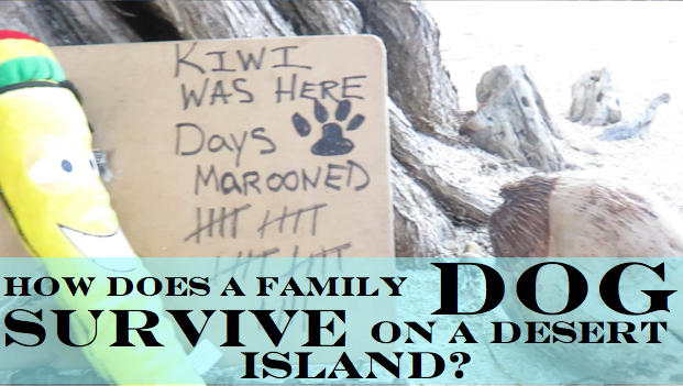 MAROONED! How Does a Family Dog Survive on a Desert Island?