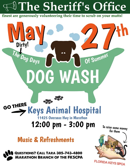 Dog Wash Event