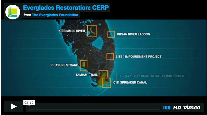 Everglades Restoration: Enough Reports / We Need Storage