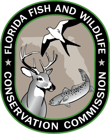 FWC Uncovers Major Alligator Violations in Long-Term Covert Investigation