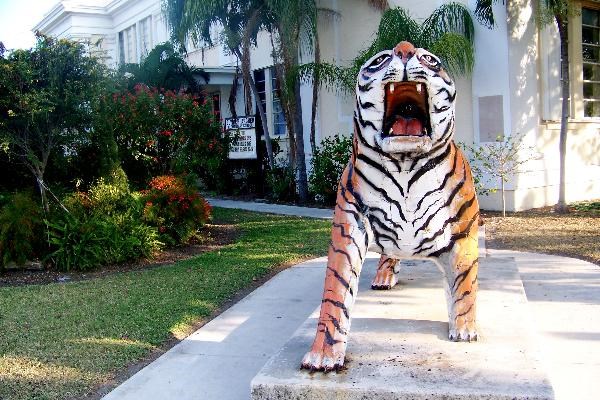 The Tiger Will Return to Corner of White and United [Video: City Commission Decision]